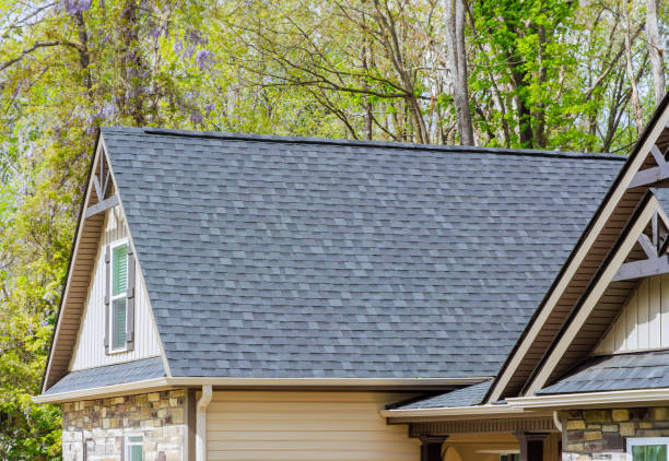 Best Asphalt Shingle Roofing  in Cannon Af, NM